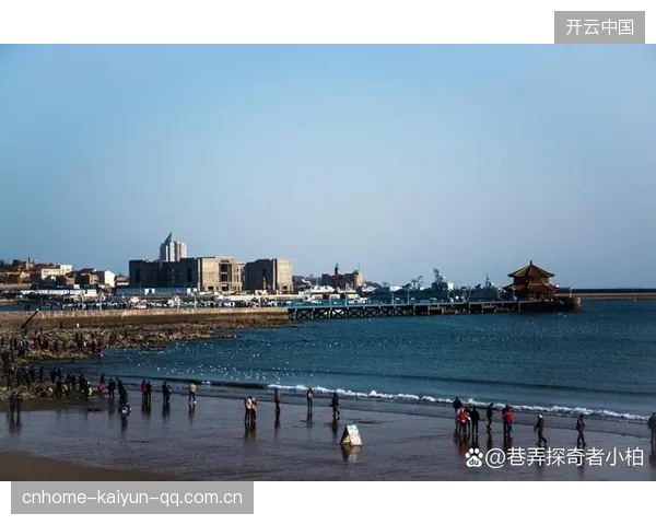 广东飞青岛：从“海上粤港”到“海上花园”的精彩旅程